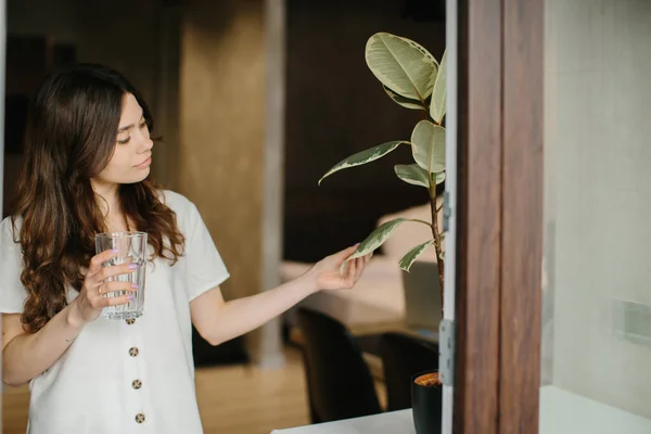 Young Woman Watering House Plants Flower Pots Glass Water Windowsill — Stock Photo, Image