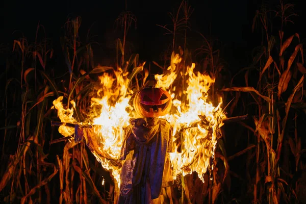 Brinner Halloween Fågelskrämma Ett Majsfält Natten Halloween Semester Koncept — Stockfoto