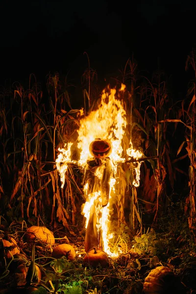 Brinner Halloween Fågelskrämma Ett Majsfält Natten Halloween Semester Koncept — Stockfoto