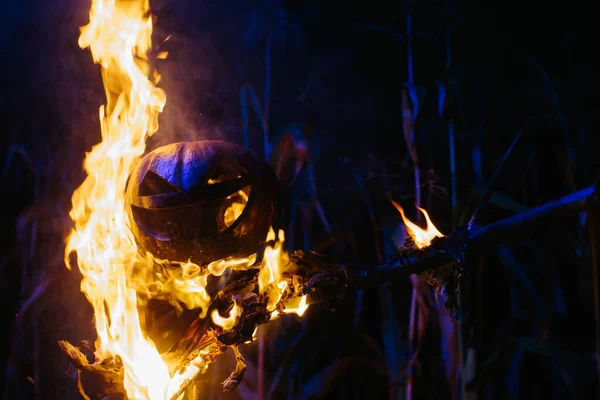 Brinner Halloween Fågelskrämma Ett Majsfält Natten Halloween Semester Koncept — Stockfoto