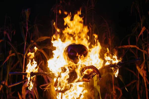 Épouvantail Halloween Brûlant Dans Champ Maïs Nuit Concept Vacances Halloween — Photo