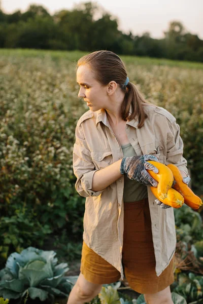 Flicka Bonde Skördar Mogen Gul Zucchini Sin Trädgård — Stockfoto