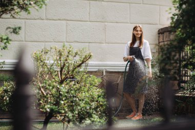 Bahçıvan evinin arka bahçesindeki bitkilerle ilgileniyor..