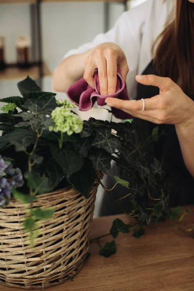 一个年轻的女人照顾花 一个快乐的花匠在花店里照料花朵 特写照片 — 图库照片