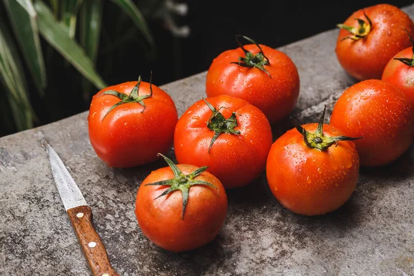 Frische Rote Tomaten Rohe Früchte Zum Kochen Gesunde Früchte — Stockfoto
