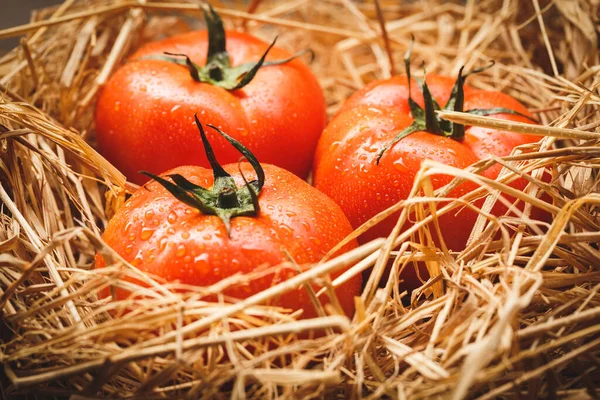 Frische Rote Tomaten Rohe Früchte Zum Kochen Gesunde Früchte Stockbild