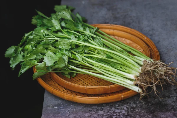 Frische Sellerieblätter Gewürz Zum Kochen lizenzfreie Stockfotos