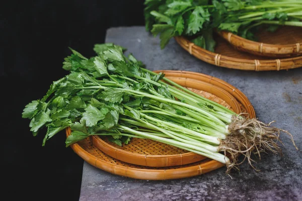 Frische Sellerieblätter Gewürz Zum Kochen Stockfoto