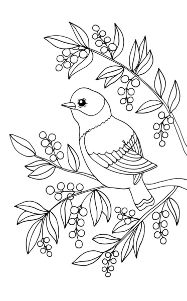 Beautiful Bird Sitting Branch Coloring Page Children Adults Vector Illustration — Stock Vector