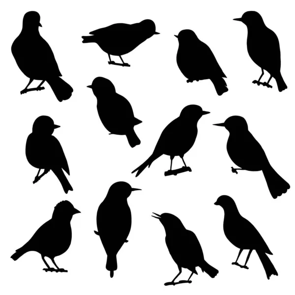 Набір Чорних Силуетів Пісень Птахів Білому Тлі — стоковий вектор