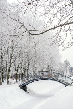 Köprüsü olan bir kar parkından güzel bir kış manzarası