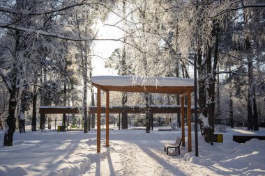Parkın arka planında karla kaplı ağaçların olduğu dondurucu ve güneşli bir kış.