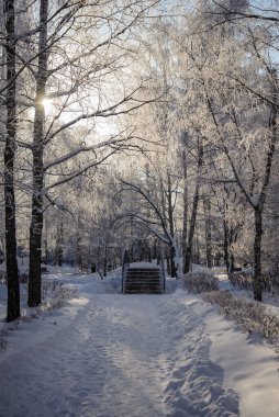 Parkın arka planında karla kaplı ağaçların olduğu dondurucu ve güneşli bir kış.