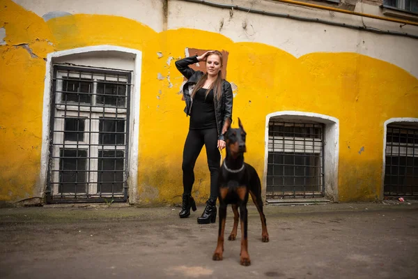 Ein Mädchen in Leder mit einem Dobermann in einem alten Hof. — Stockfoto