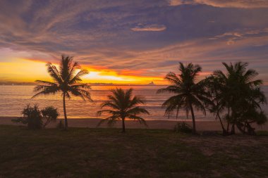 Hindistan cevizi ağaçlarının üzerinde renkli hava manzaralı günbatımı
