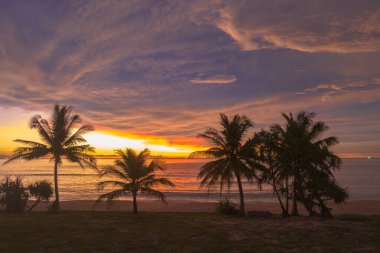 Hindistan cevizi ağaçlarının üzerinde renkli hava manzaralı günbatımı