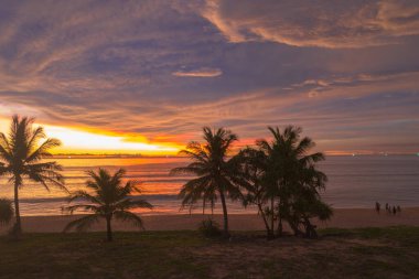 Hindistan cevizi ağaçlarının üzerinde renkli hava manzaralı günbatımı