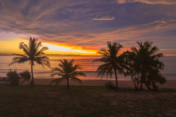 Luftaufnahme Landschaft Sonnenuntergang Über Kokospalmen Während Bunte — Stockfoto