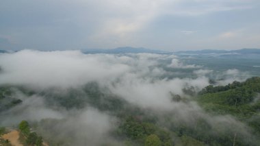 Tropikal yağmur ormanlarında dağın tepesindeki hava sisi ve