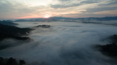 Tropikal yağmur ormanlarında dağın tepesindeki hava sisi ve