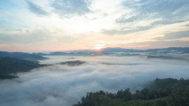Tropikal yağmur ormanlarında dağın tepesindeki hava manzaralı gün doğumu sisi