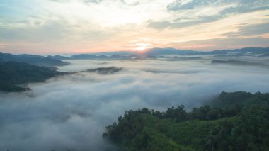 Tropikal yağmur ormanlarında dağın tepesindeki hava sisi ve