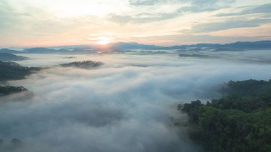 Tropikal yağmur ormanlarında dağın tepesindeki hava sisi ve