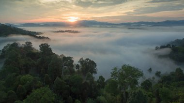 Tropikal yağmur ormanlarında dağın tepesindeki hava sisi ve