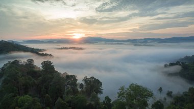 Tropikal yağmur ormanlarında dağın tepesindeki hava sisi ve