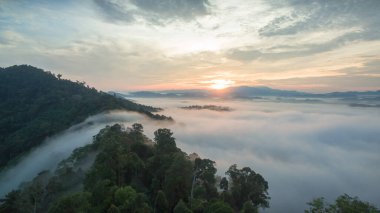 Tropikal yağmur ormanlarında dağın tepesindeki hava sisi ve