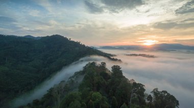 Tropikal yağmur ormanlarında dağın tepesindeki hava sisi ve