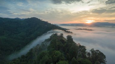 Tropikal yağmur ormanlarında dağın tepesindeki hava sisi ve