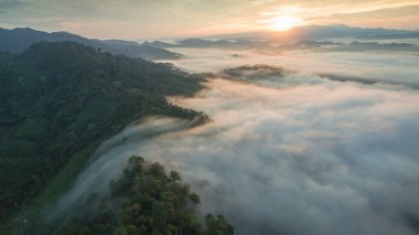 Tropikal yağmur ormanlarında dağın tepesindeki hava sisi ve