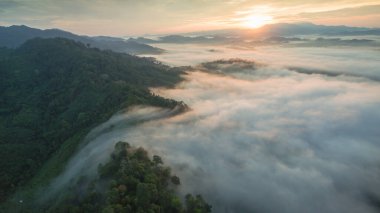 Tropikal yağmur ormanlarında dağın tepesindeki hava sisi ve