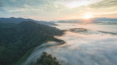 Tropikal yağmur ormanlarında dağın tepesindeki hava sisi ve