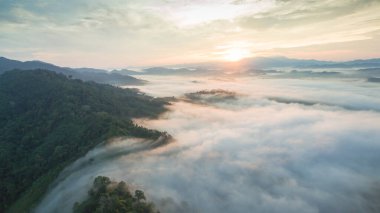 Tropikal yağmur ormanlarında dağın tepesindeki hava sisi ve