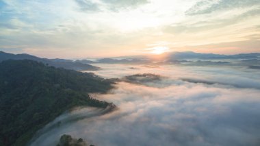 Tropikal yağmur ormanlarında dağın tepesindeki hava sisi ve