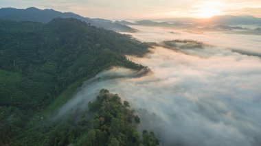 Tropikal yağmur ormanlarında dağın tepesindeki hava sisi ve