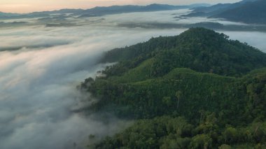 Tropikal yağmur ormanlarında dağın tepesindeki hava sisi ve