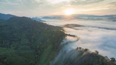 Tropikal yağmur ormanlarında dağın tepesindeki hava sisi ve