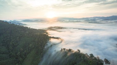 Tropikal yağmur ormanlarında dağın tepesindeki hava sisi ve