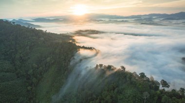 Tropikal yağmur ormanlarında dağın tepesindeki hava sisi ve