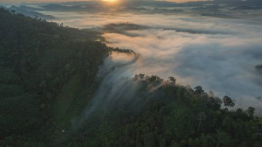 Tropikal yağmur ormanlarında dağın tepesindeki hava sisi ve