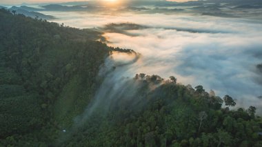 Tropikal yağmur ormanlarında dağın tepesindeki hava sisi ve
