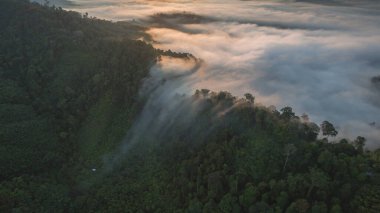 Tropikal yağmur ormanlarında dağın tepesindeki hava sisi ve