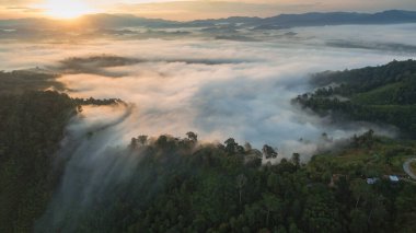 Tropikal yağmur ormanlarında dağın tepesindeki hava sisi ve