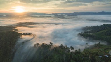 Tropikal yağmur ormanlarında dağın tepesindeki hava sisi ve