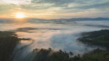 Tropikal yağmur ormanlarında dağın tepesindeki hava sisi ve