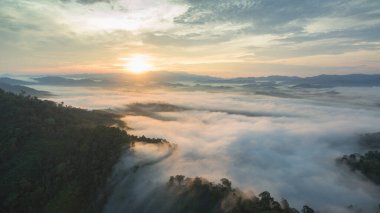 Tropikal yağmur ormanlarında dağın tepesindeki hava sisi ve