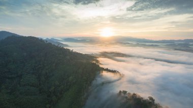 Tropikal yağmur ormanlarında dağın tepesindeki hava sisi ve